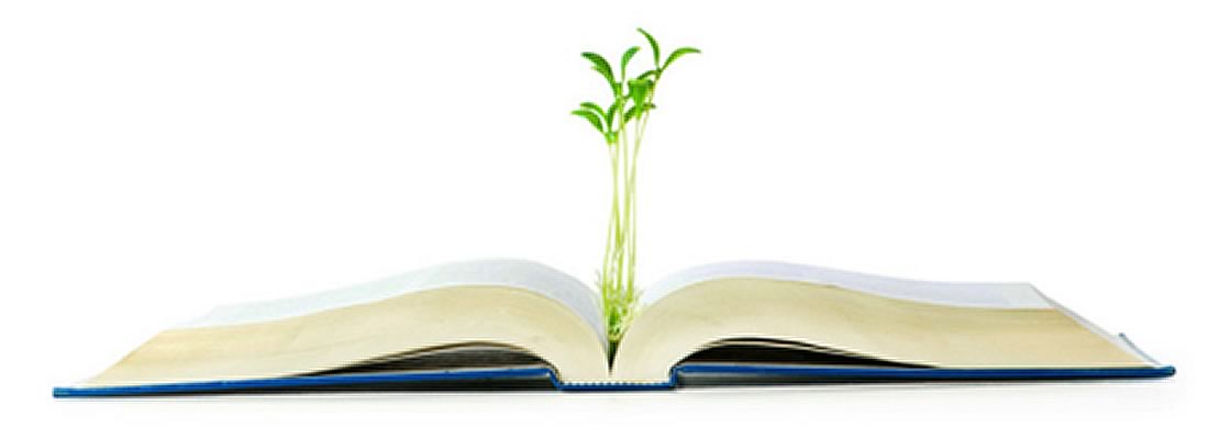 An open book with plants growing out of the center