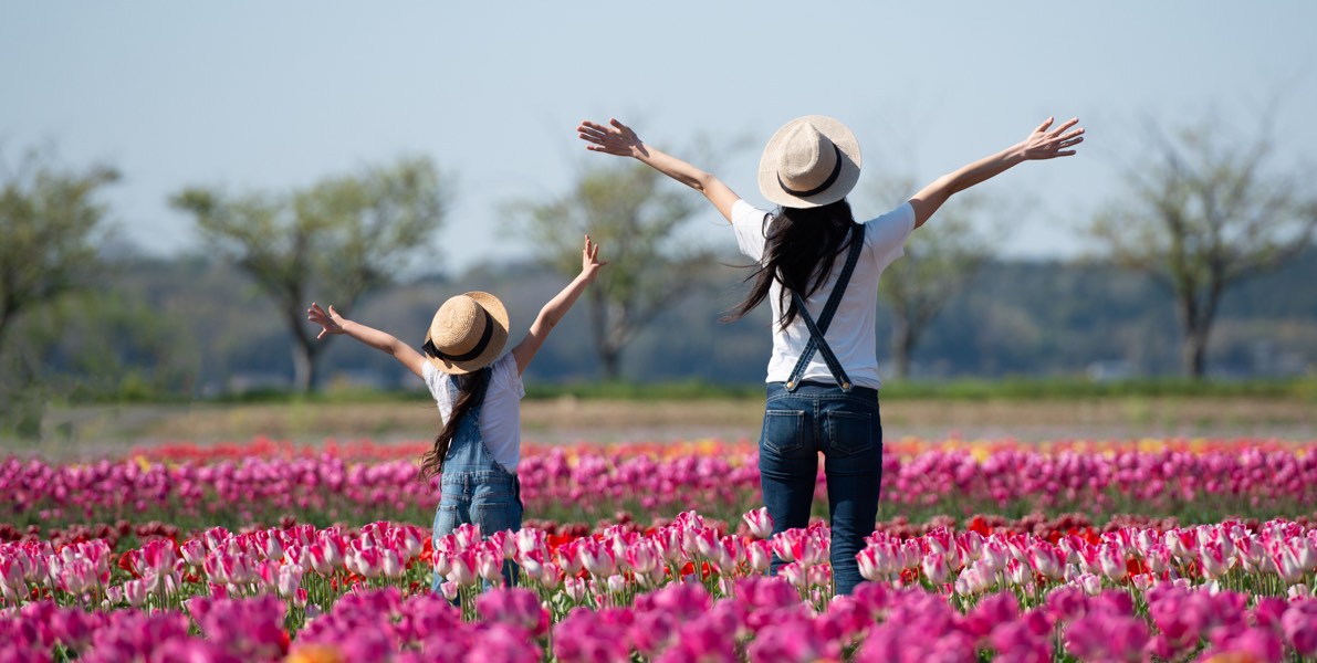 Woman and daughter standing in a field of tulips